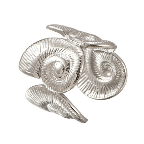 Ocean Ring
