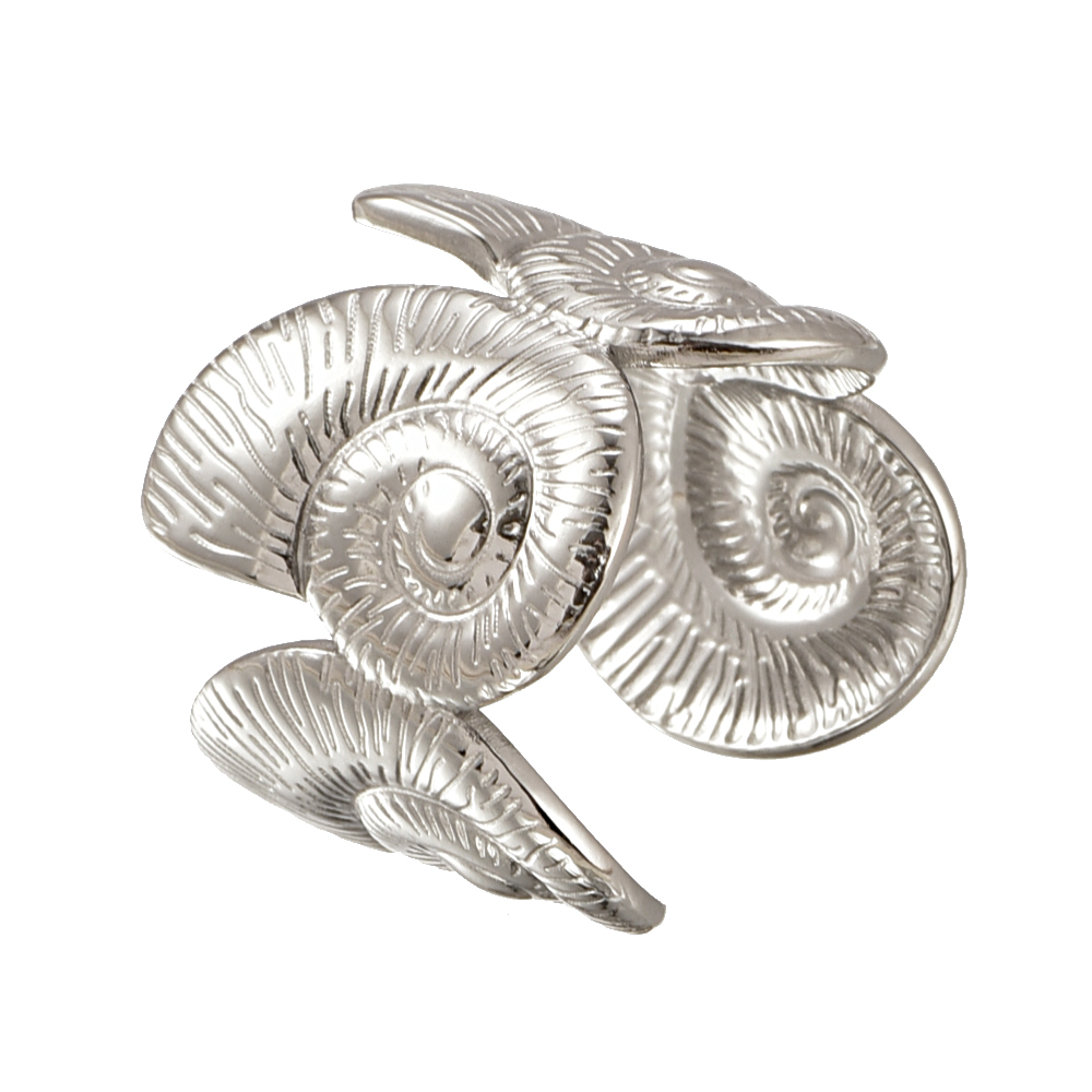 Ocean Ring