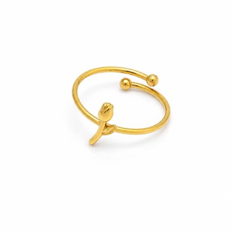 Classic Ring