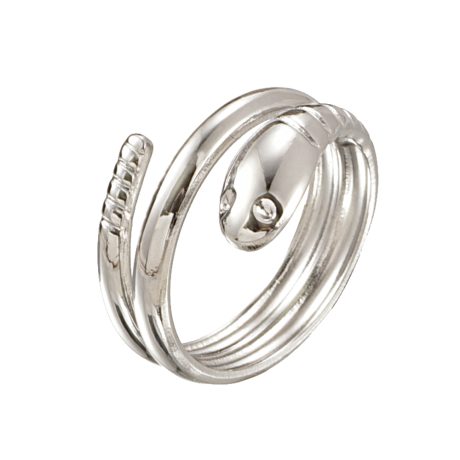 Animal Ring