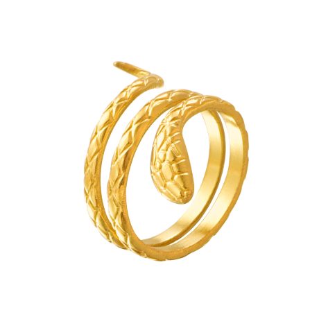 Animal Ring
