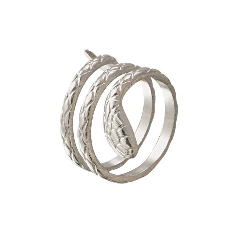 Animal Ring