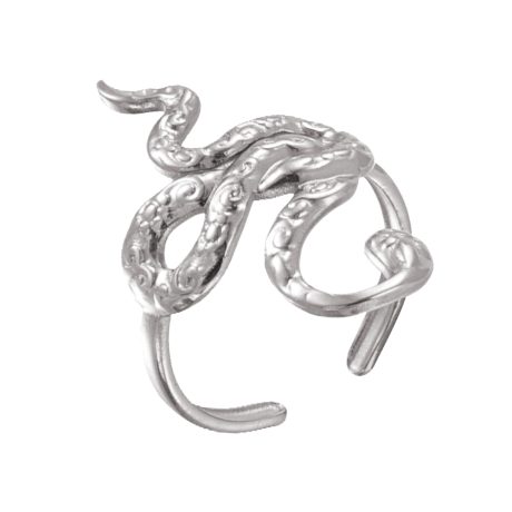 Animal Ring