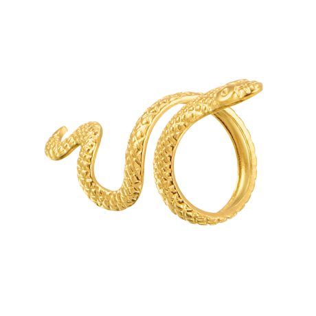 Animal Ring
