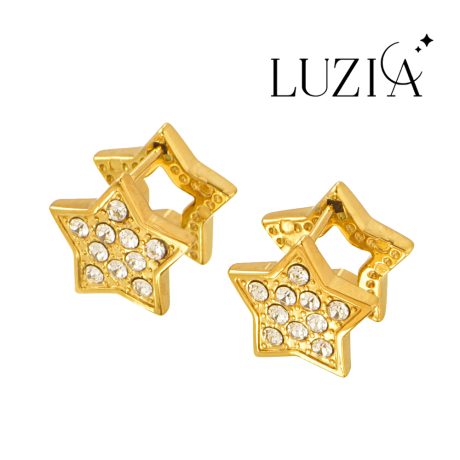 Natural Stone Earring