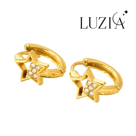 Natural Stone Earring