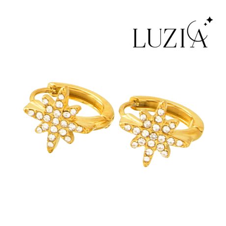Natural Stone Earring