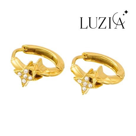 Natural Stone Earring