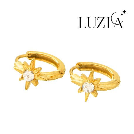 Natural Stone Earring
