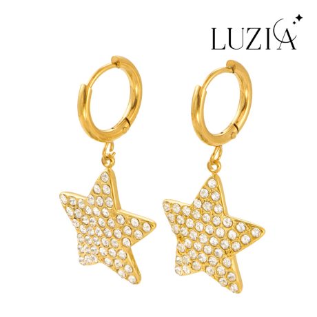 Natural Stone Earring
