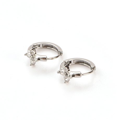 Natural Stone Earring